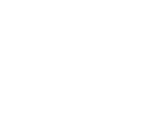 ALM_LOGO1